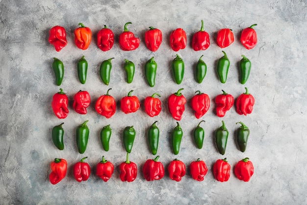 Rows of Jalapeno and Habanero Peppers