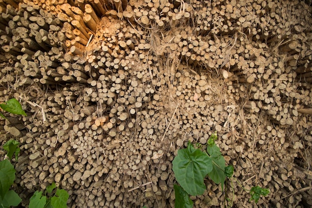 Photo rows and rows of brown jute sticks texture background of a field