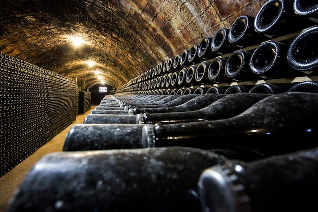 Rows of wine bottles in the cellar