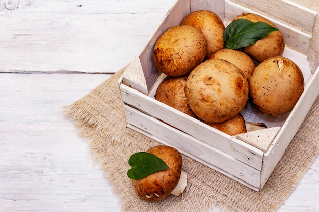 royal champignon mushrooms in wooden crate