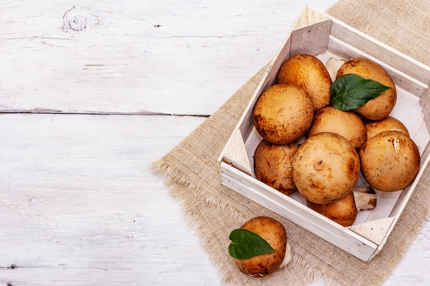 royal champignon mushrooms in wooden crate