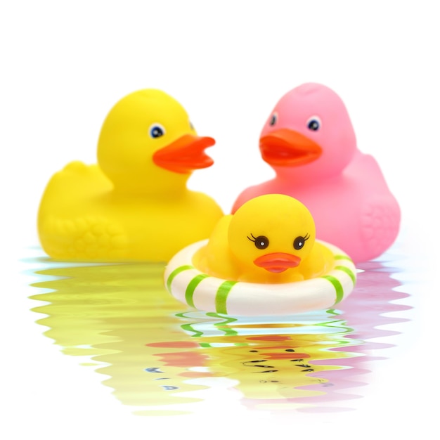 Rubber duck family on the water