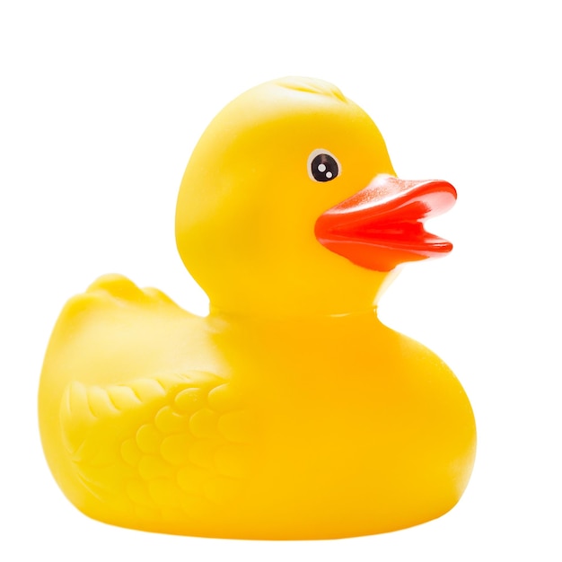 rubber duck isolated on a white background