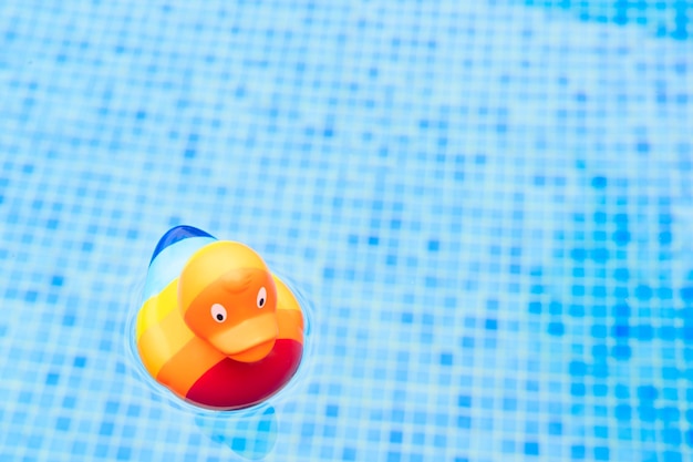 Rubber duck in rainbow color