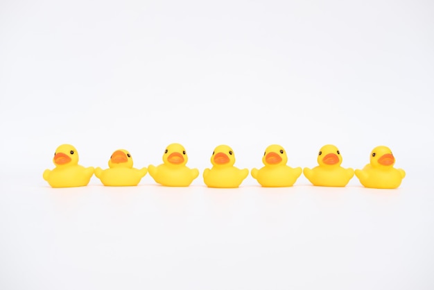 Rubber ducks on white background