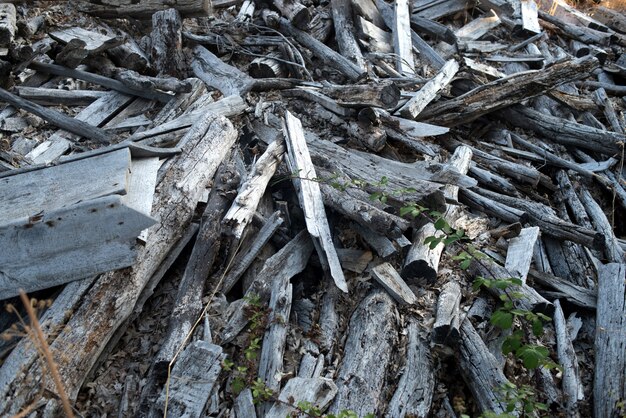 Photo rubble, wood debris