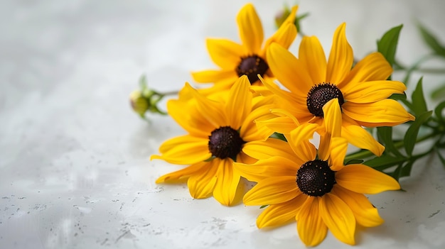 Photo rudbeckia flowers on a white background floral composition with yellow flowers generative ai