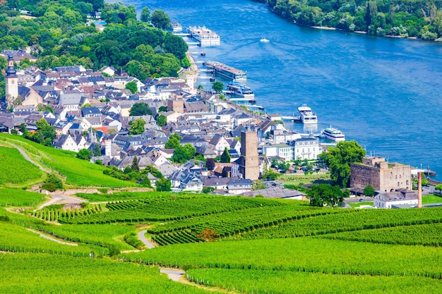 Rudesheim am Rhein Vineyards Germany