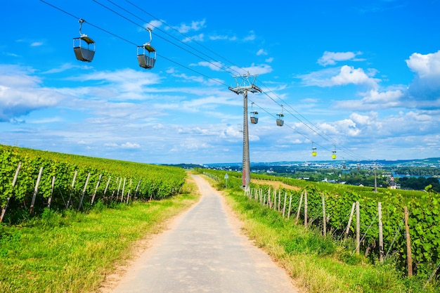 Rudesheim am Rhein Vineyards Germany