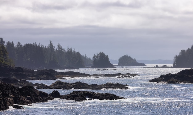 Rugged Rocks on a rocky shore on the West Coast of Pacific Ocean