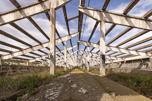 Ruined cowshed interior