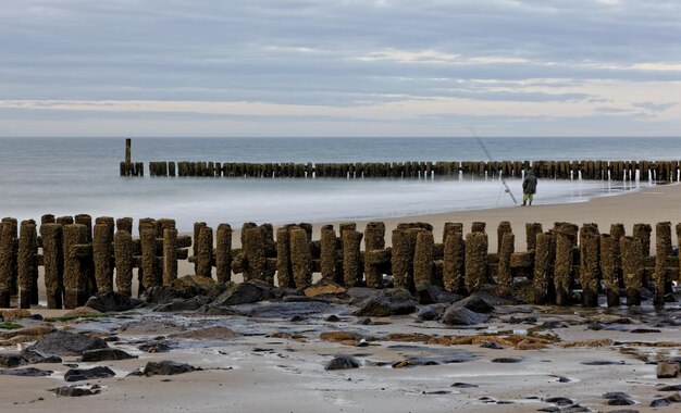 Photo ruined groynes on beach against sky