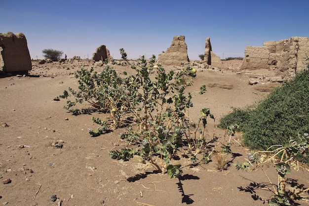 Ruins of ancient Egyptian temple on Sai island, Nubia, Sudan