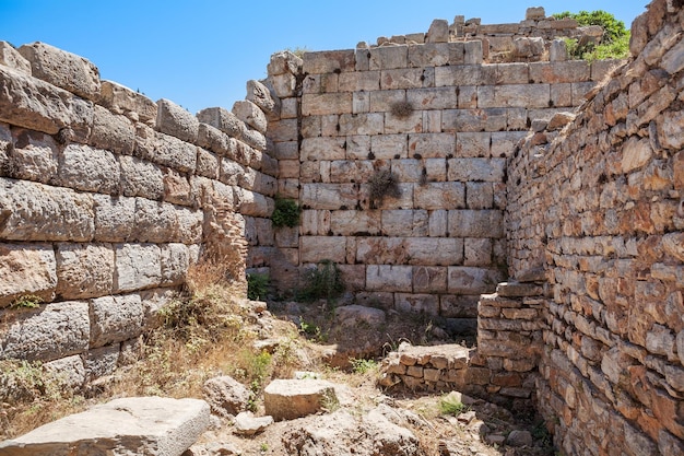 Ruins of the ancient Ephesus Selcuk in Izmir Province Turkey