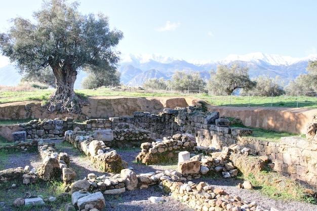 Ruins of Ancient Sparta