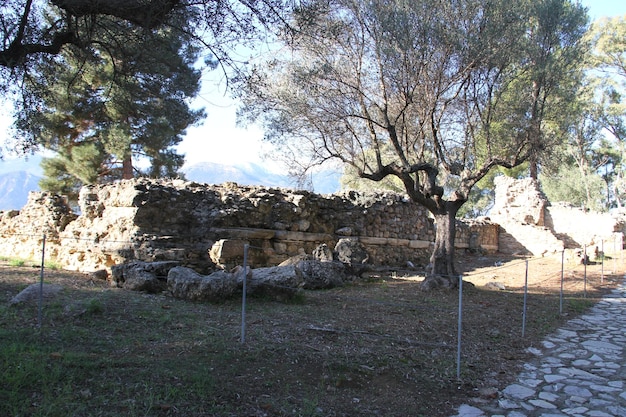 Ruins of Ancient Sparta