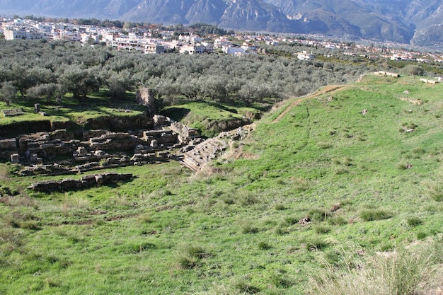 Ruins of Ancient Sparta