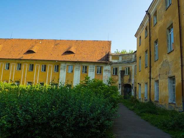 Ruins of the old Olyka Castle among the thickets