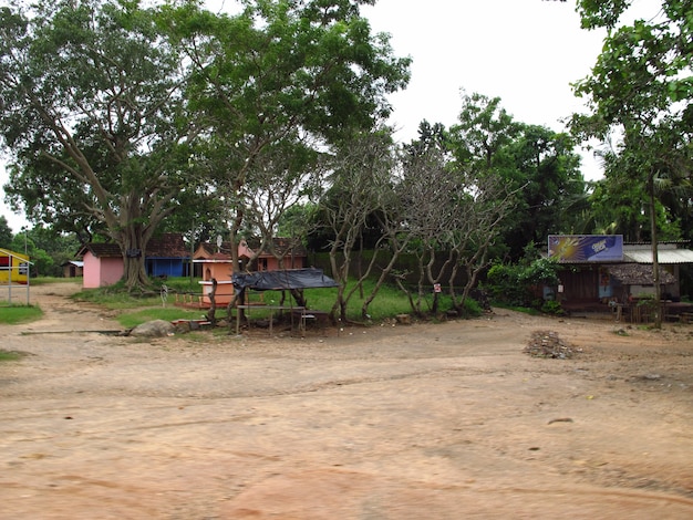 Ruins in Polonnaruwa, Sri Lanka