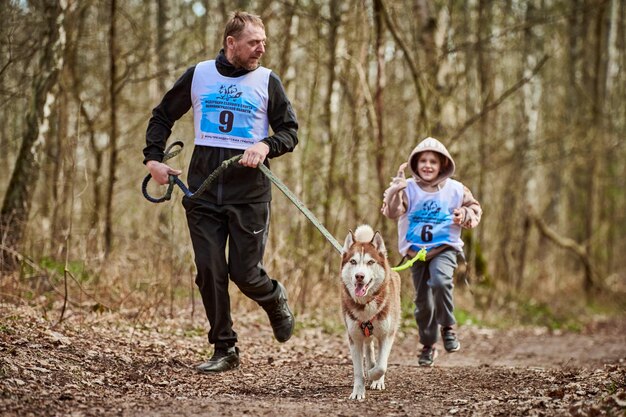 Running father and girl with pulling Siberian Husky sled dog in harness on autumn forest road