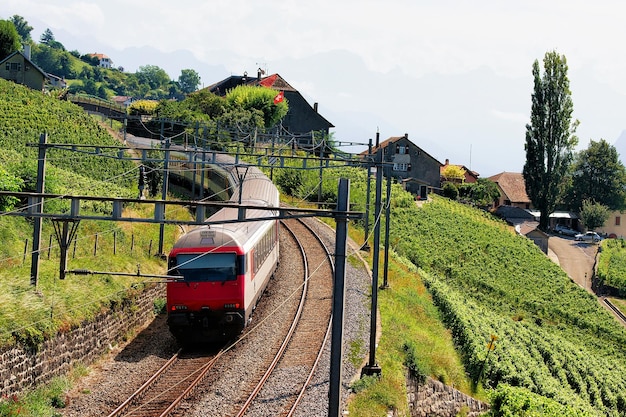 Running train at Lavaux Vineyard Terraces hiking trail, Lavaux-Oron district, Switzerland