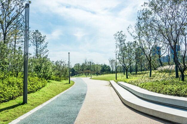 Runway in the park