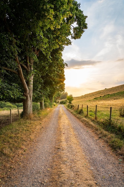 Photo rural country road on the swedish west coast during golden sunset selective focus