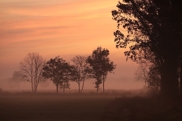 Rural landscape on an autumn morning