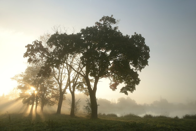 Rural landscape on an autumn morning