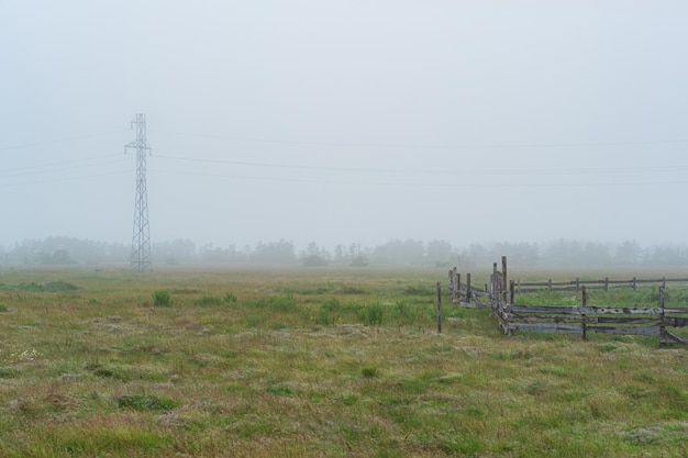 Rural landscape cattle paddock on a foggy pasture