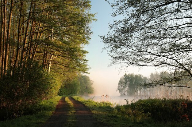 Rural landscape on the edge of the lake during sunrise