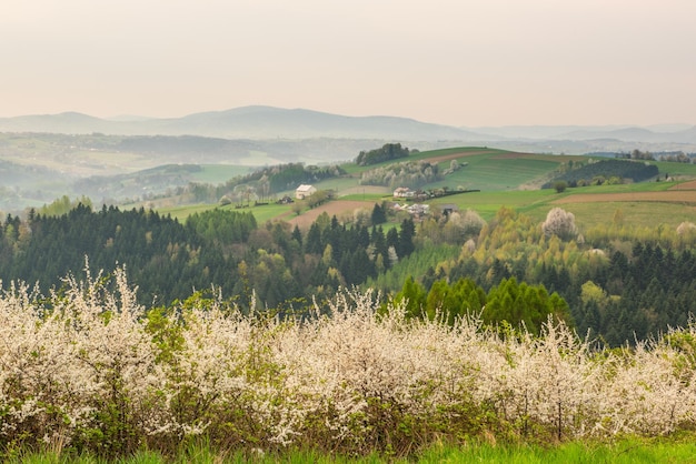 Rural Landscape at Spring Sunrise in Poland