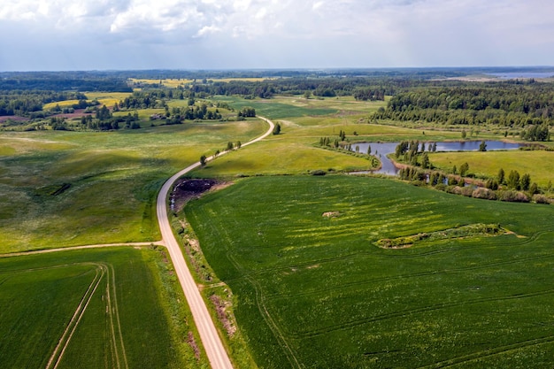 Rural landscape with agricultural fields roads and lonely trees drone photography