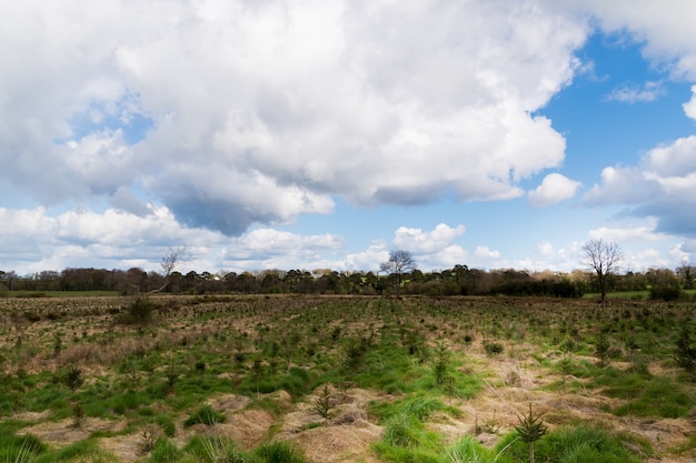 Rural landscape with blue and cloudy sky.