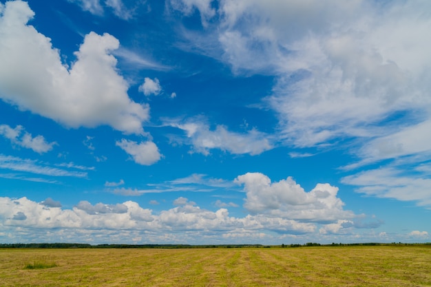 Rural landscape with clouds.