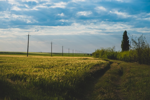 Rural landscape with a road farm land nature agricultural landscape