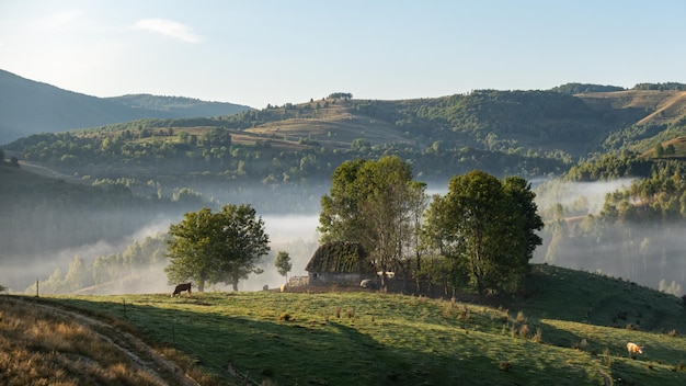 Rural Place with Scenic View