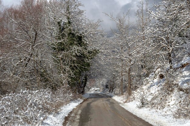 Rural road in the picturesque mountains on a winter day Greece Peloponnese