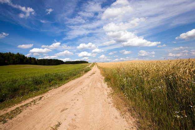 The rural road - the small not asphalted road in rural areas