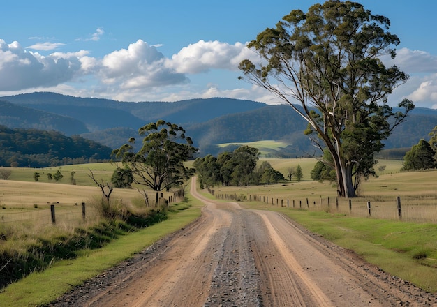 Photo rural road through australian farmland