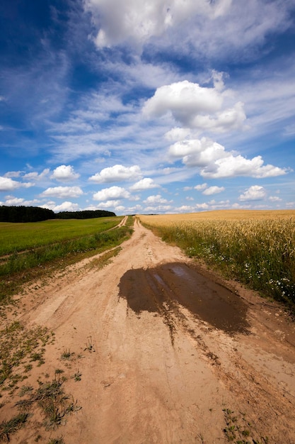 The rural road