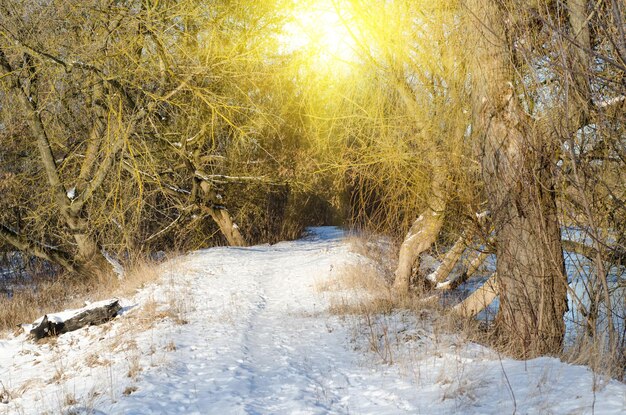 Rural road