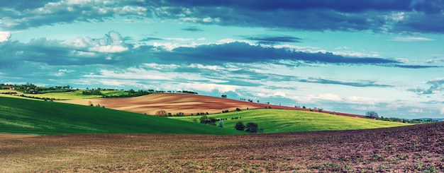 Rural spring landscape