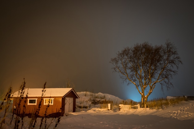 Rural winter scene in northern Scandinavia