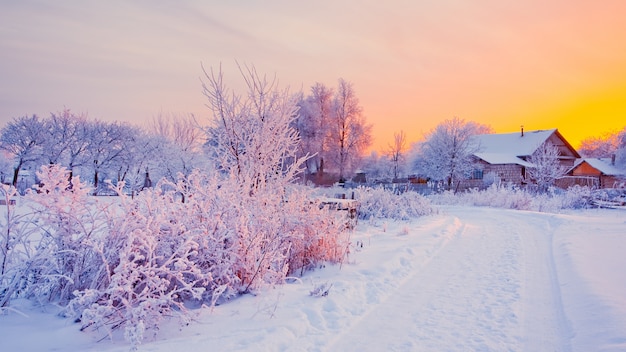 Rurral winter landscape with snow at sunset