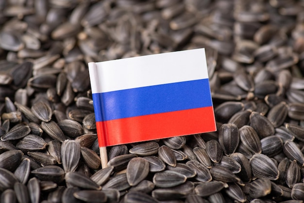 Russia flag on sunflower seeds