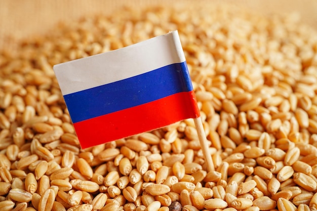 Russia on grain wheat trade export and economy concept