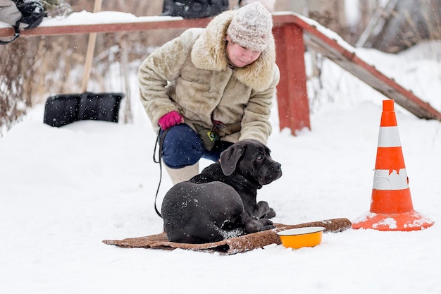 Russia Ivanovo Dec 24 2017 the woman walking with cane Corso winter editorial