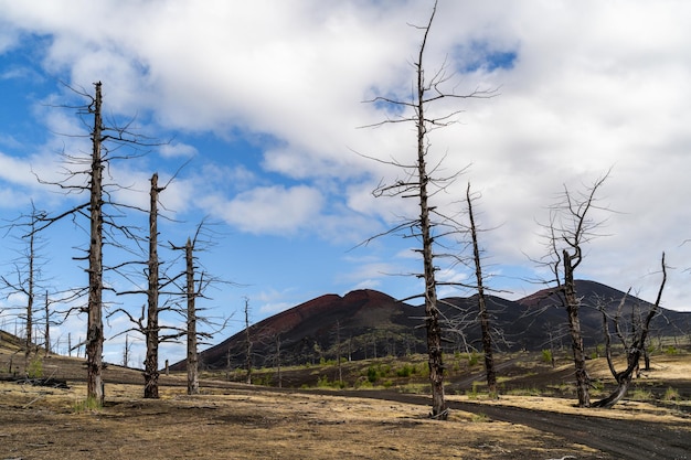 Russia Kamchatka Fields with black sand and hills in the area of the Tolbachik volcano