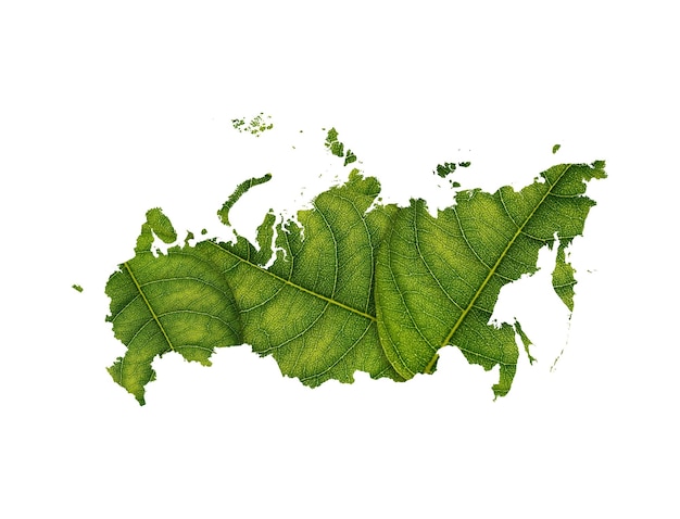 Russia map made of green leaves on soil background ecology concept